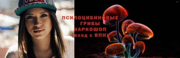 ешки Дмитров