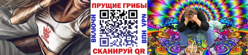 цена наркотик  Новочебоксарск  Псилоцибиновые грибы прущие грибы 